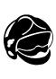 TEE-SHIRT BASE BALL BICOLORE (K330) CHOIX LOGOS POMPIERS : CASQUE N°1